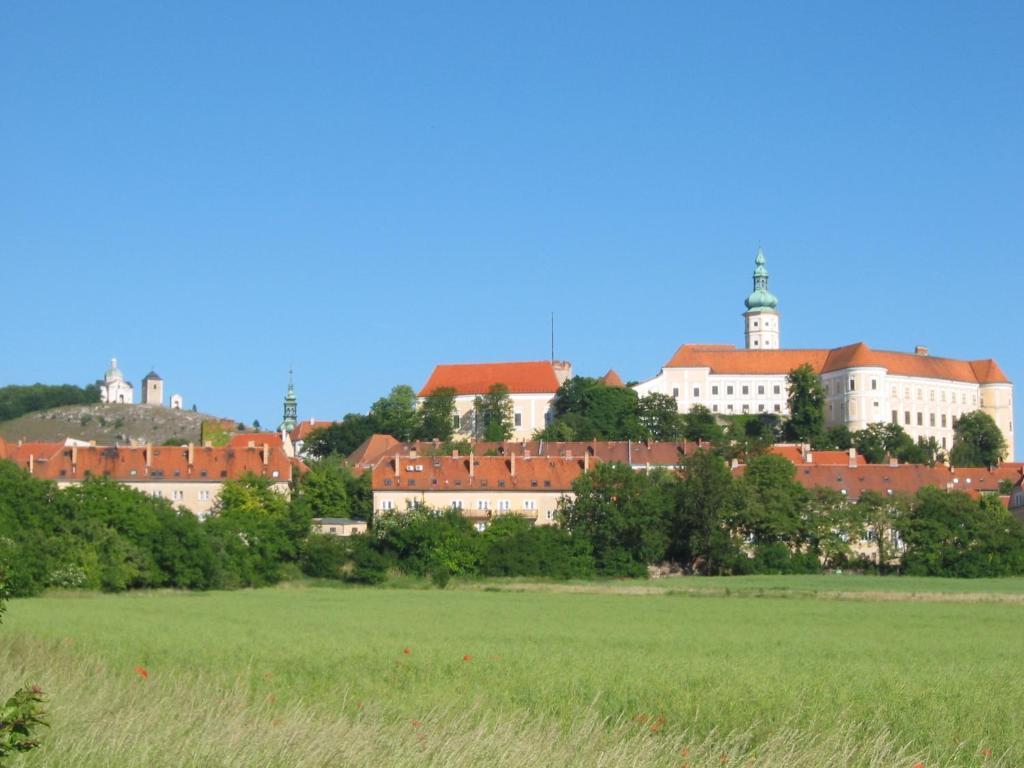 Ubytovani U Jerabku - Parkovani Zdarma Mikulov Phòng bức ảnh
