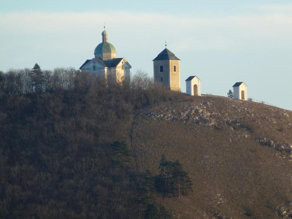 Ubytovani U Jerabku - Parkovani Zdarma Mikulov Phòng bức ảnh